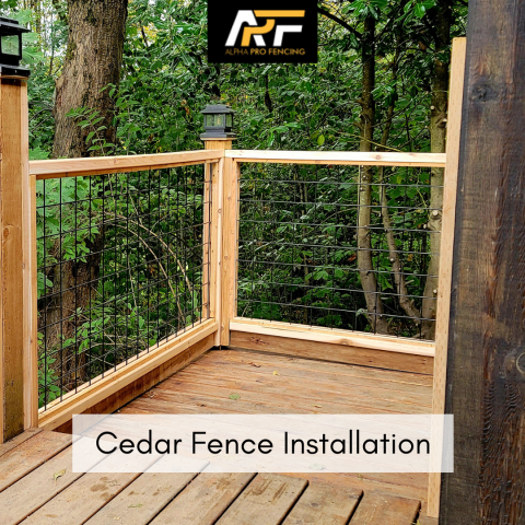 Assa Fencing