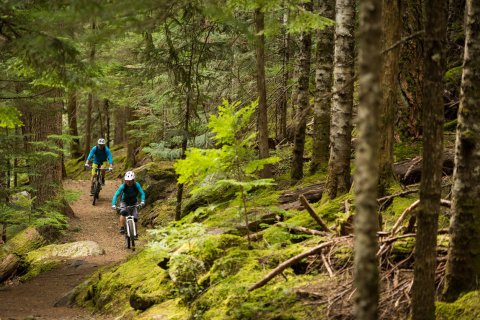 Top Summer Activities in Whistler