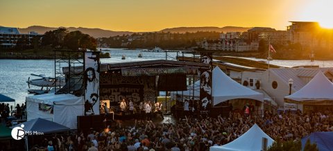 Victoria Ska & Reggae Society/Festival