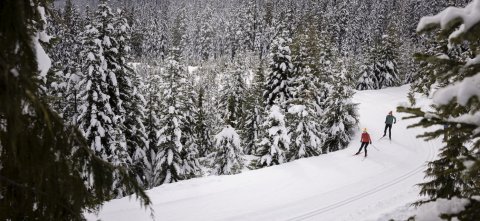 Whistler Olympic Park