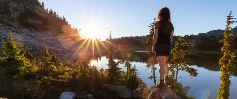 Visit Whistler