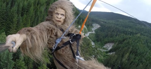 Ziptrek - THE SASQUATCH®