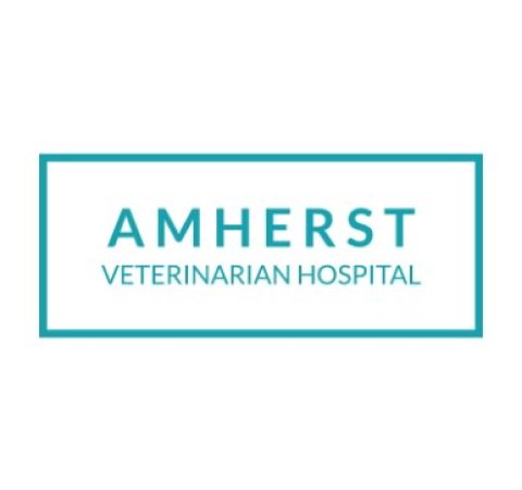 Amherst Veterinary Hospital Logo