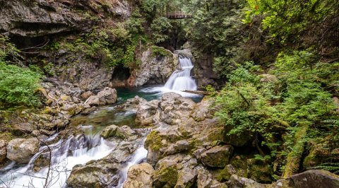 Baden Powell Trail