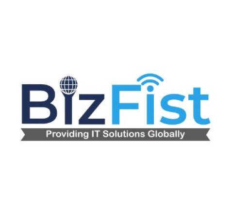 Bizfist It Solutions Logo