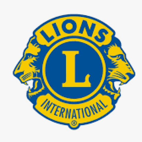 Boundary Bay Lions