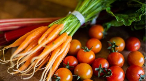 Blue House Organics