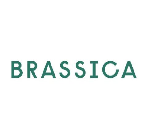 Brassica Logo