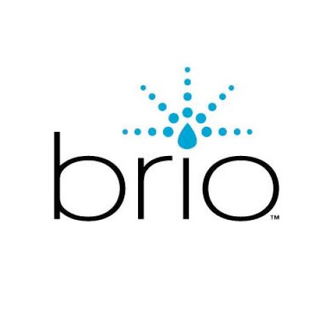 Brio Logo