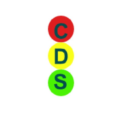 Capilano Driving School Logo