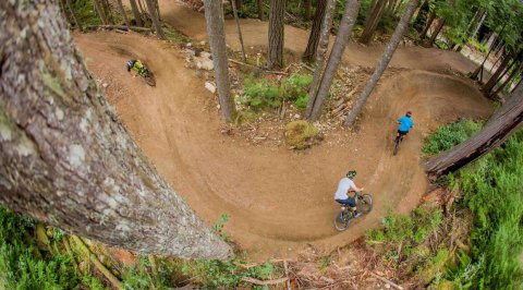 Coast Gravity Park