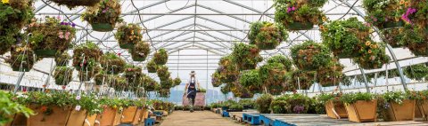 Vandula Farms Market and Nursery