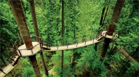 Capilano Suspension Bridge