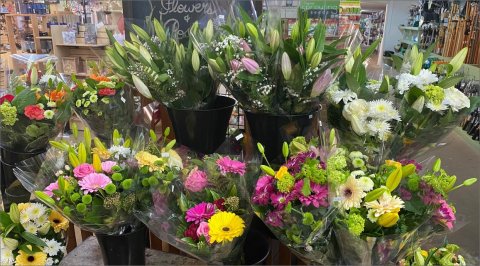 Dykhof Nurseries & Florist