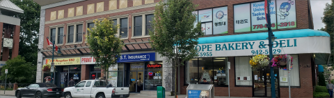 Downtown POCO BIA