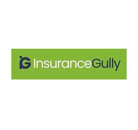 Insurance Gully Logo