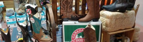 Jumpin Jodphurs Tack Shop