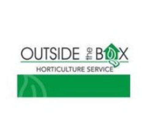 Outside the Box