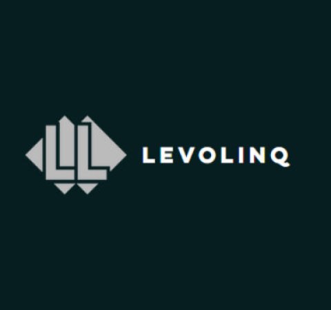 LevoLinq Logo