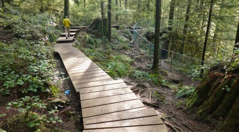 Lynn Valley Ecology Centre