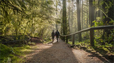 Mosquito Creek Park