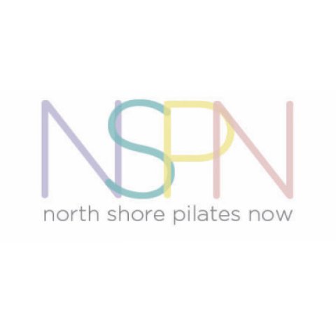 NSPN Logo