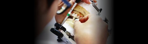 Prime Denture Clinic