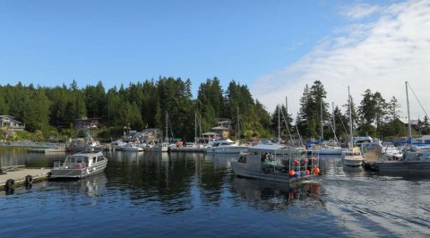 Powell River Harbour Guesthouse
