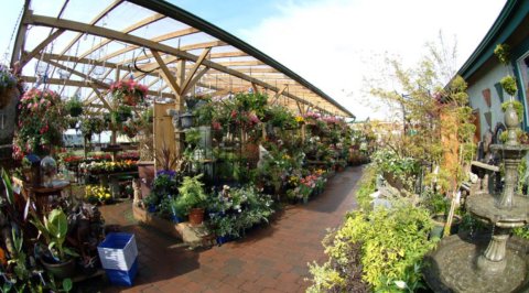 Prickly Pear Garden Centre