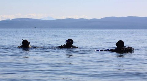 Salish Sea Dive