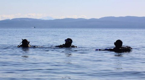 Salish Sea Dive