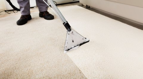 SmithWerks Carpet and Upholstery Care