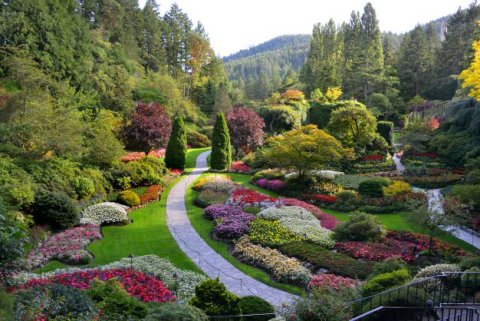 The Butchart Gardens