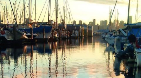 The Creek Marina and Boatyard