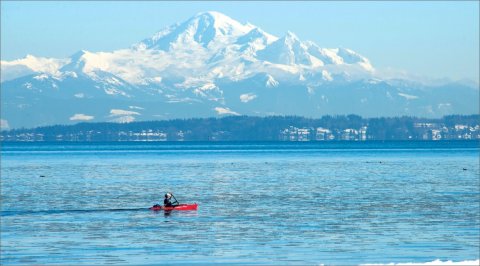 Tsawwassen B.I.A.