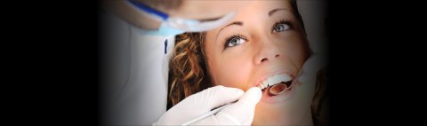 123 Kerrisdale Dental Care