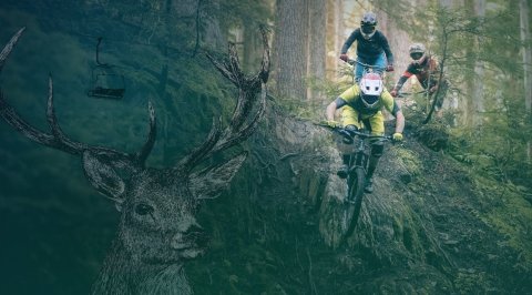 Whistler Mountain Bike Park