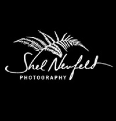 Wild Images Gallery - Shel Neufeld Photography