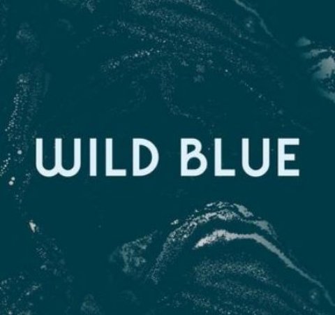 Wild Blue Restaurant + Bar