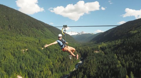 Ziptrek Ecotours