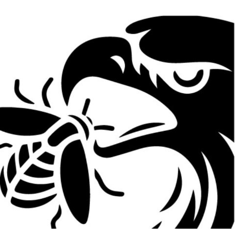 Brackendale Bug Screens