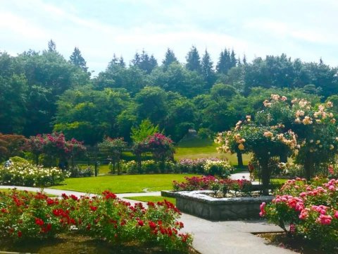 Two Burnaby restaurants named among 100 most scenic in Canada