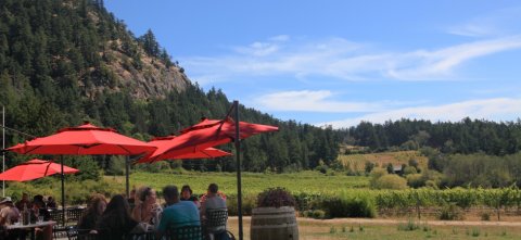 Sage Hayward Vineyards