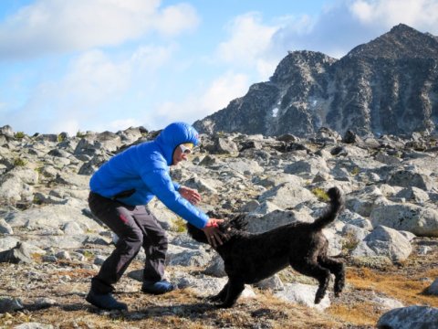 Here are some dog friendly hikes you can take near Squamish