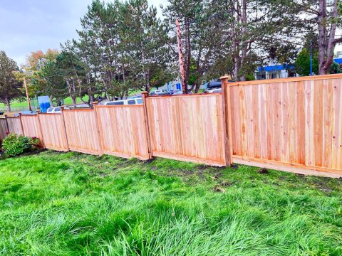 Global Cedar Fence