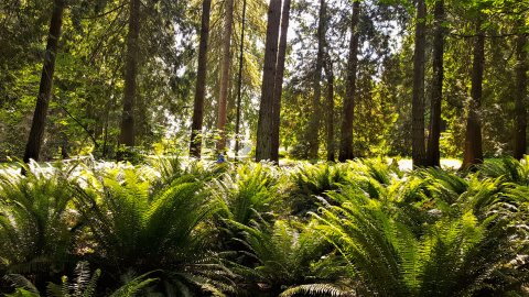 Room to Roam Outdoor Learning