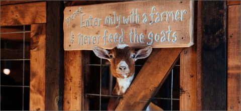 Gibsons Farm