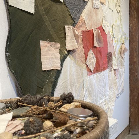 Sunshine Coast Arts Council