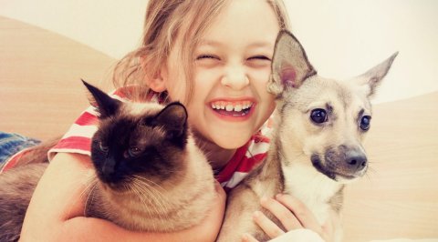 Seafair Animal Hospital