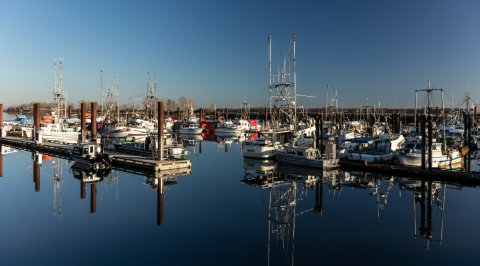 Steveston Community Society